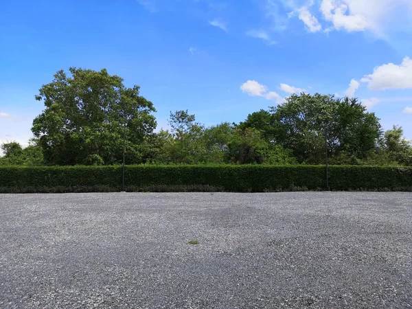 Parque Estacionamento Polvilhado Com Cascalho Arbusto Árvore Natureza Fundo — Fotografia de Stock