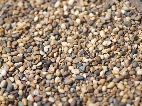 Background Small Pebbles Sea Stones Texture Rocks Material — Stock Photo, Image