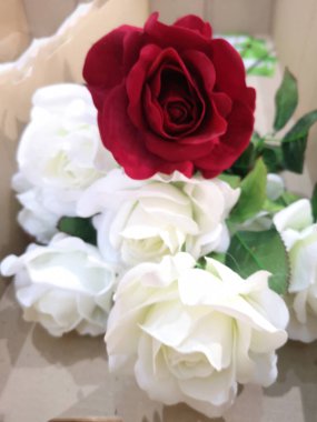 Beyaz ve kırmızı gül aranjmanı Güzel buket el yapımı yapay arka plan sembolü Sevgililer Günü