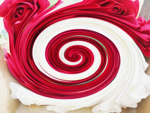 Vermelho Branco Cor Elipse Abstrato Rosa Flor Para Design Decoração — Fotografia de Stock