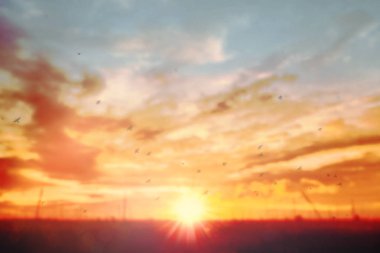 Yaz mavi gökyüzü yumuşak açık bulutlu arka plan. Puffy Cloud hareket b