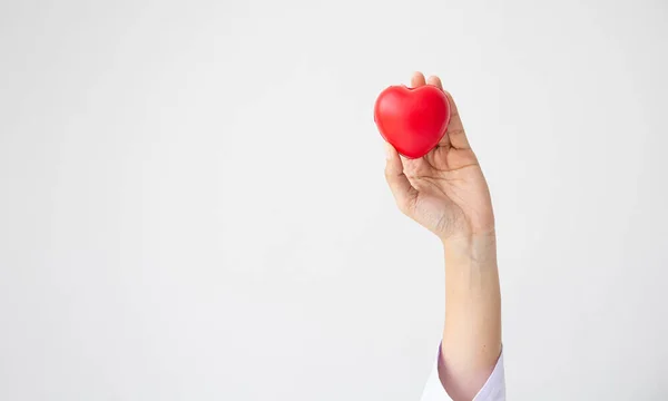 Mujer doctor manos sosteniendo rojo corazón en blanco fondo donar — Foto de Stock
