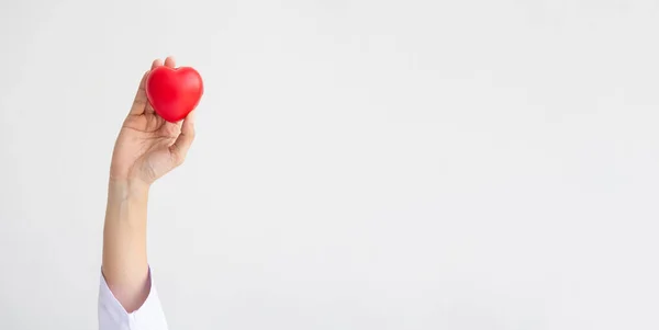 Mujer doctor manos sosteniendo rojo corazón en blanco fondo donar — Foto de Stock