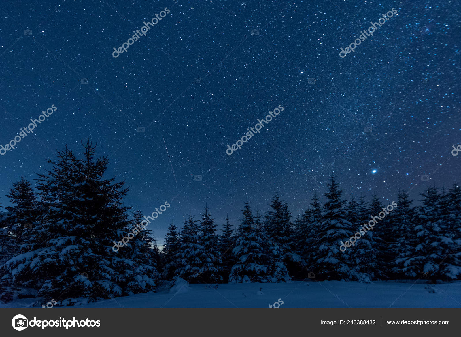 Dark Sky Full Shiny Stars Carpathian Mountains Winter Forest Night Stock Photo Image By C Haydmitriy