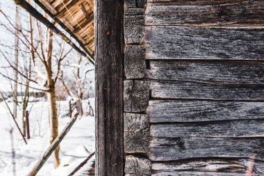 eski ahşap ev ve ağaçları kar ile gündüz yıpranmış