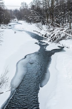 soğuk dağ dere Karpatlar karlı ormanında