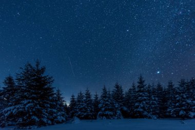 dark sky full of shiny stars in carpathian mountains in winter forest at night clipart