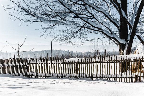 Деревянный забор, покрытый снегом в Карпатах
