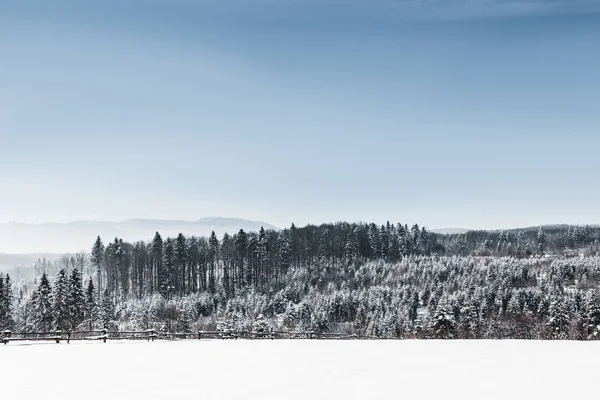 Paysage Avec Forêt Montagnes Carpates Couvertes Neige — Photo