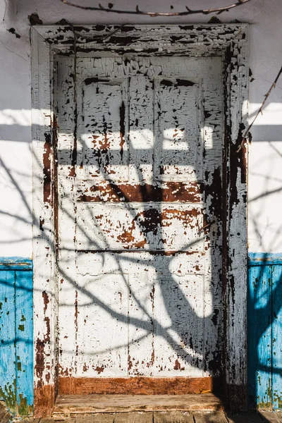 Tree Shadow Old Weathered Wooden Door — Stock Photo, Image