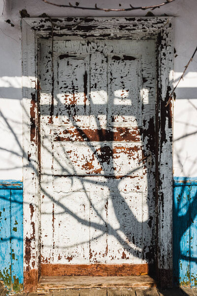 tree shadow on old weathered wooden door 