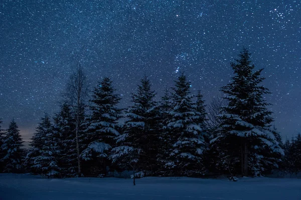 Céu Escuro Cheio Estrelas Brilhantes Nas Montanhas Dos Cárpatos Floresta — Fotografia de Stock