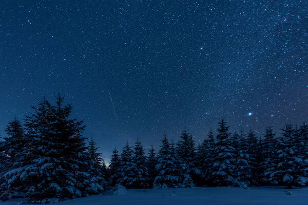 dark sky full of shiny stars in carpathian mountains in winter forest at night