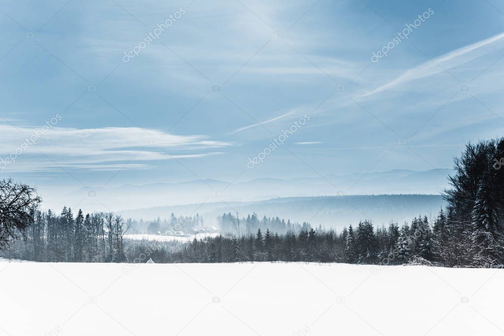 landscape with snowy white carpathian mountains and trees in winter