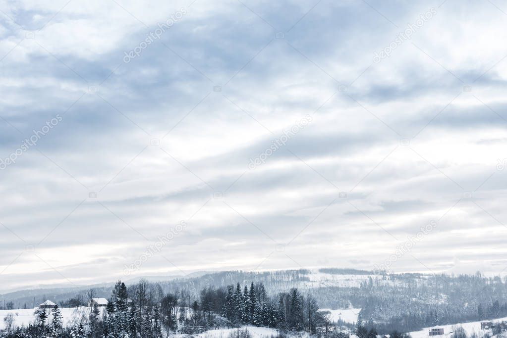 scenic view of snowy carpathian mountains and cloudy sky in winter 