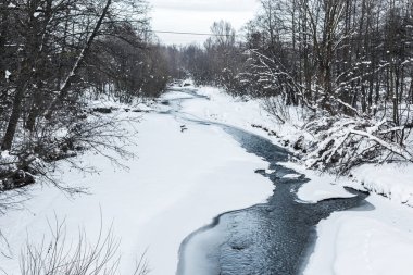 cold creek in winter forest with trees on shores clipart