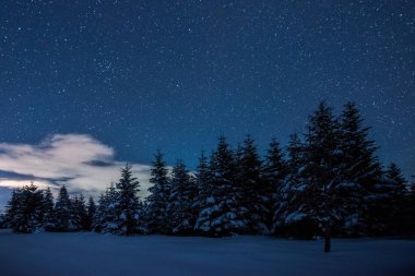 yıldızlı karanlık gökyüzü ve Karpat Dağları'nda Ladin kış geceleri