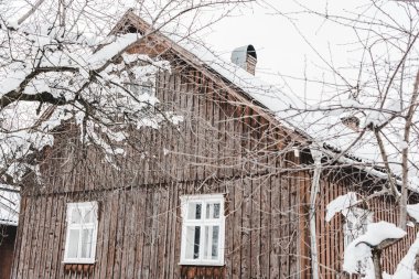 kırsal yaşlı ahşap evi ve kuru ağaçlar karla kaplı 