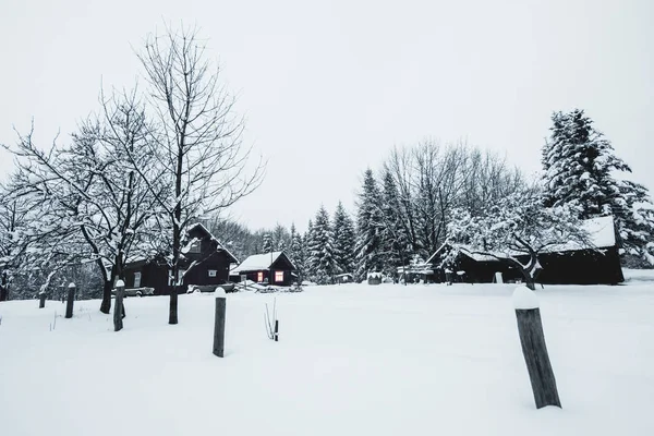 Wieku Drewniane Domy Win Snowy Wsi Karpatach — Zdjęcie stockowe