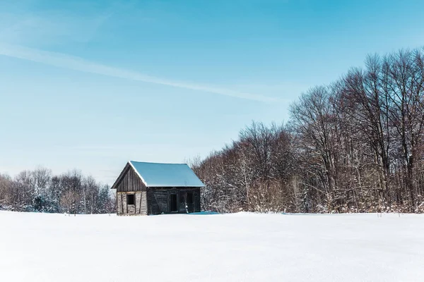 Malebný Pohled Dřevěný Dům Zasněžené Karpaty — Stock fotografie