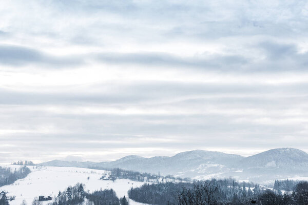 пейзаж Карпатских гор, покрытых снегом с облачным небом и деревьями
 