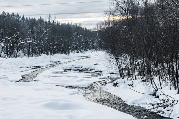 cold creek in winter forest with trees on shores