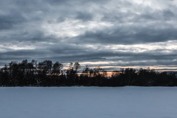 Landskap Karpaterna Täckt Med Snö Med Mulen Himmel Och Träd — Stockfoto