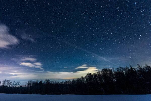 starry dark sky with sprucesin carpathian mountains at night in winter