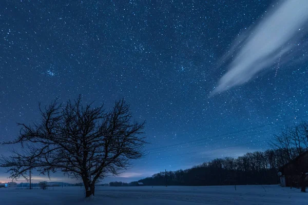 Cielo Oscuro Estrellado Árbol Las Montañas Los Cárpatos Por Noche —  Fotos de Stock