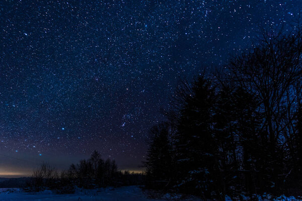 starry dark sky and trees in carpathian mountains at night in winter