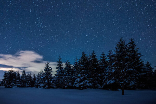 Звездное темное небо и елки в Карпатах ночью зимой
