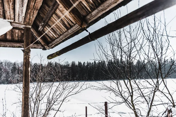 Aged wooden roof and dry branches in snowy carpathian mountains — Stock Image Aged Wooden Roof Dry Branches Snowy Carpathian Mountains Stock Photo