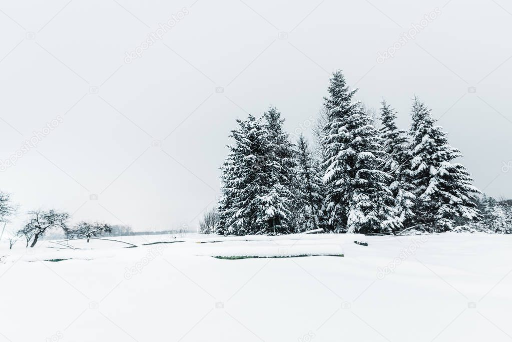 HayDmitriy