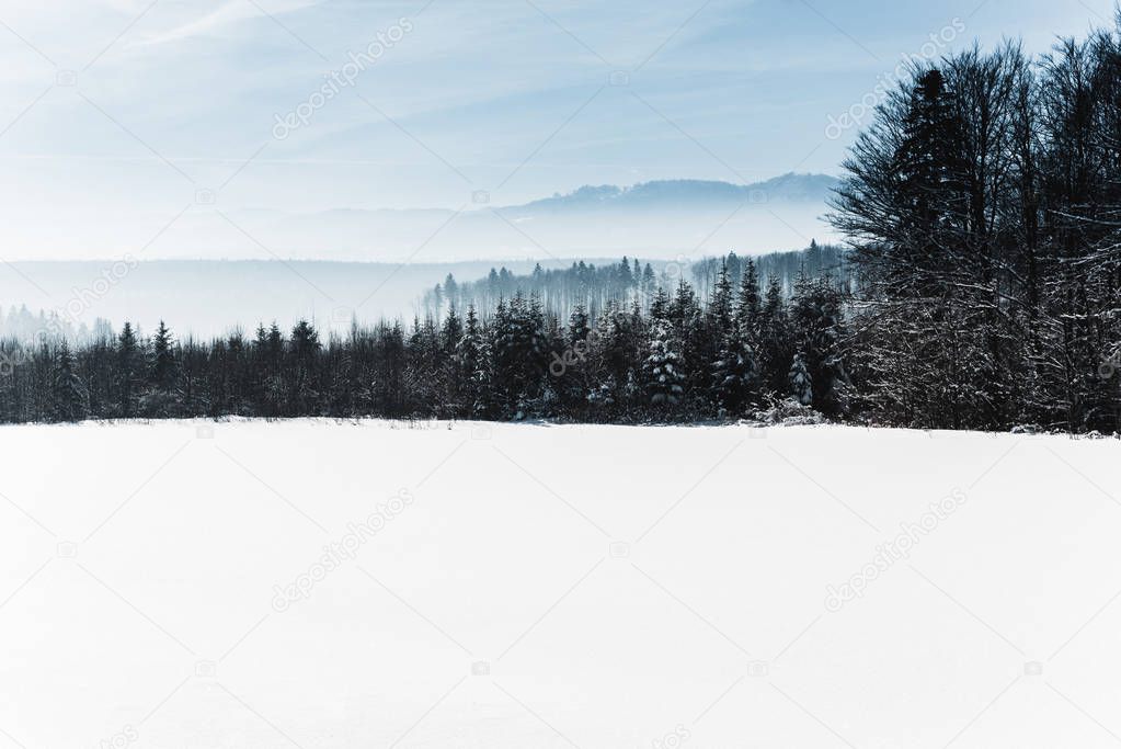 blue cloudy sky and winter snowy mountain forest in carpathians