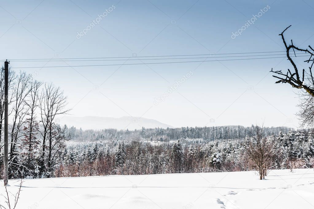 HayDmitriy