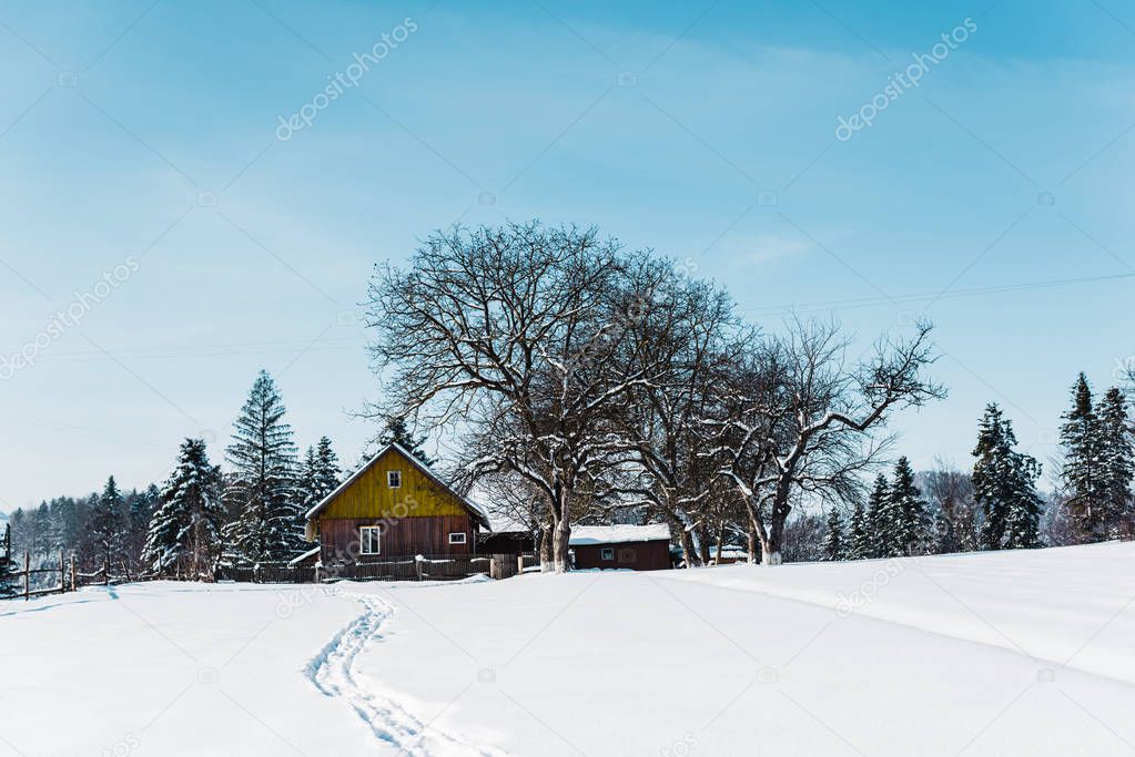 small village in carpathian mountains near forest with traces on snow