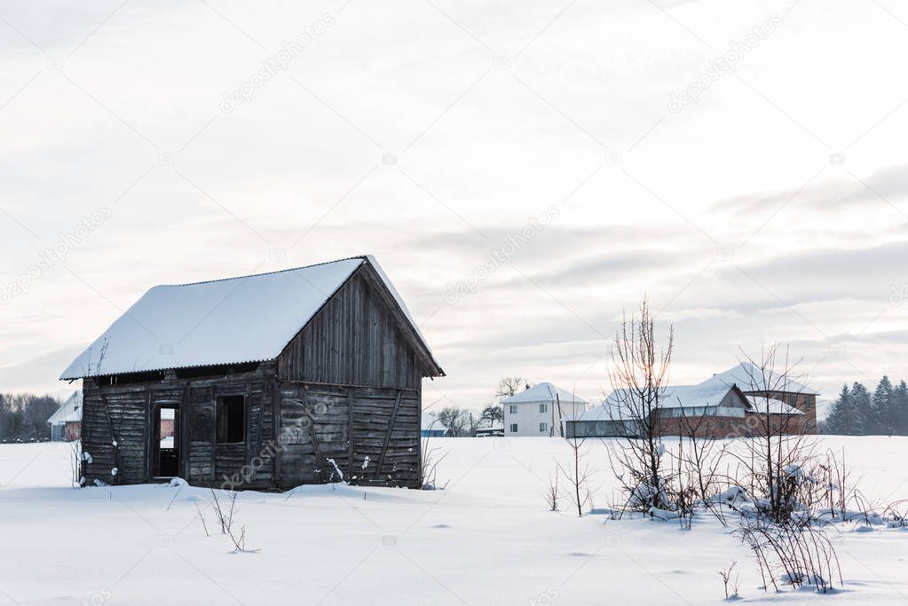 wooden old houses in mountain village in snowy carpathians