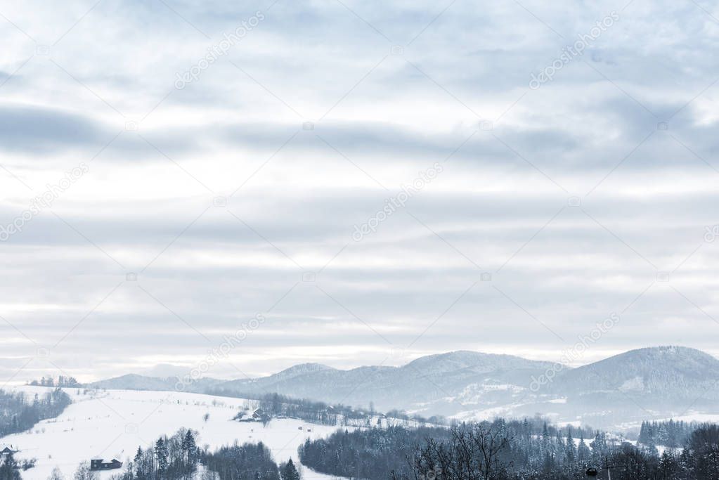 landscape of carpathian mountains covered with snow with cloudy sky and trees 