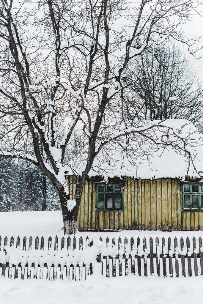 old weathered house with fence among trees in winter