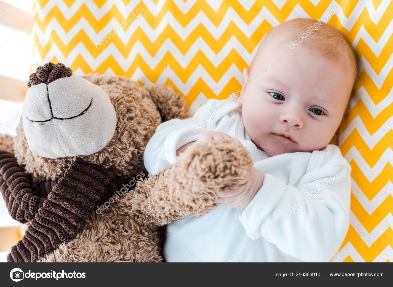 cute baby teddy