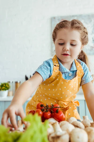 选择焦点可爱的孩子在波尔卡点黄色围裙触摸桌子上的蔬菜 — 图库照片