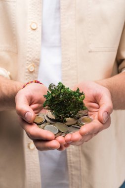 elinde para ve para ağacı tutan adam kısmi görünümü