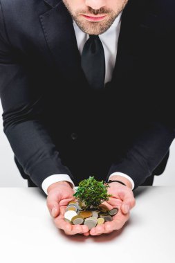 Cropped view of man in suit holding coins and money tree clipart