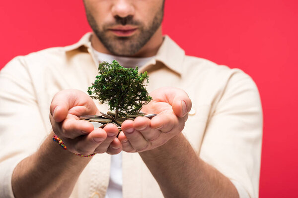 partial view of man holding coins and money tree Isolated On pink