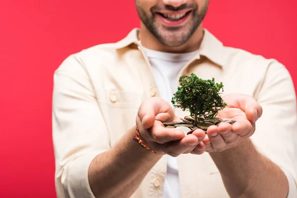 Vue Recadrée Homme Souriant Tenant Argent Arbre Des Pièces Isolé — Photo