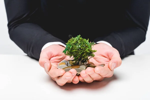Cropped View Man Suit Holding Coins Money Tree Grey — Stock Photo, Image