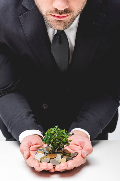 Cropped view of man in suit holding coins and money tree in hands