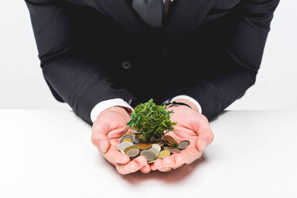 Cropped view of man in suit holding coins and money tree on grey