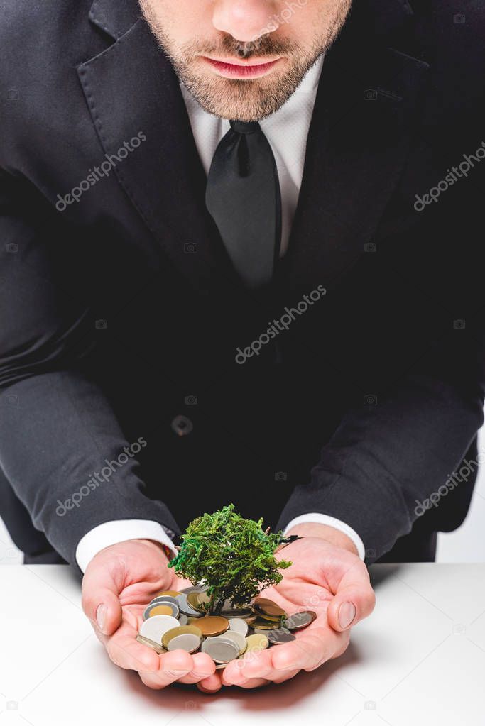 Cropped view of man in suit holding coins and money tree in hands