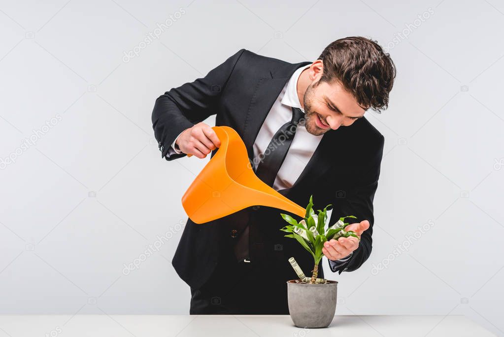 businessman in suit watering plant with money isolated on grey